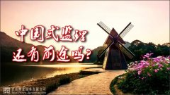 中國(guó)式監(jiān)理，還有前途嗎？
